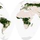 Illustration for article titled No One Knows How Much Forest We Have Left Because No One Can Decide What a Forest Is